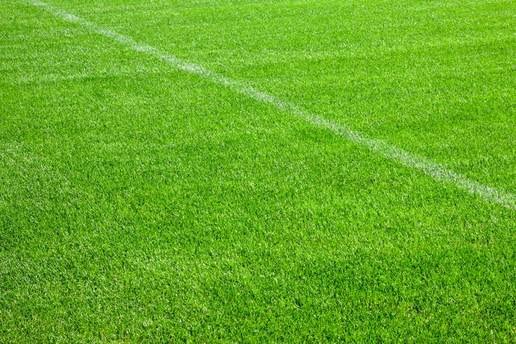 Football grass background